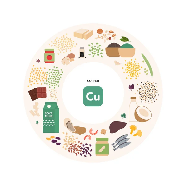 健康食品指导概念 矢量平面插图 维生素来源信息图 圆形框图 色彩艳丽的豆制品 种子和坚果图标 — 图库矢量图片