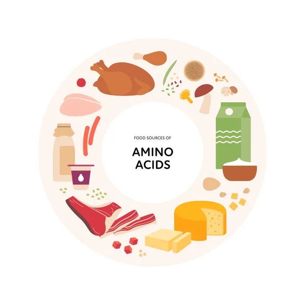 Υγιεινός Οδηγός Τροφίμων Διανυσματική Επίπεδη Απεικόνιση Infographic Των Αμινοξέων Πηγές — Διανυσματικό Αρχείο