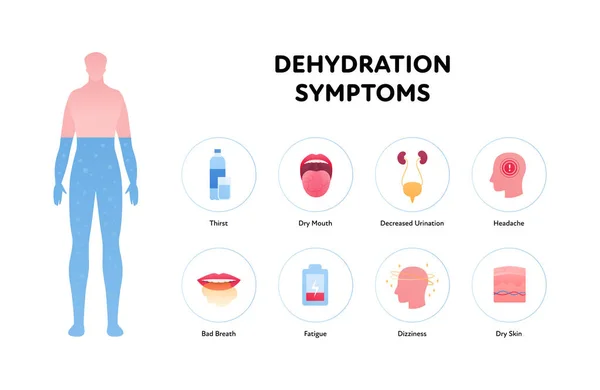 Dehydration Symptoms Infographic Layout Vector Flat Healthcare Illustration Human Body — Wektor stockowy