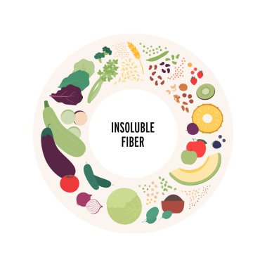 Food guide for healthy eating concept. Vector flat design various insoluble fiber sources products colorful symbol in circle frame isolated on white background.
