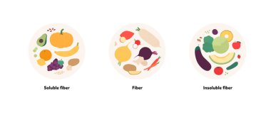 Food guide for healthy eating concept. Vector flat design various soluble and insoluble fiber sources products colorful symbol in circle frames isolated on white background.
