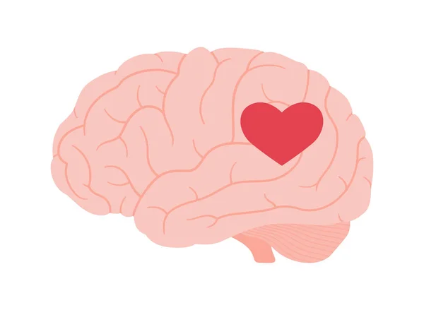 精神的な健康と感情的な規制の概念 ベクトルフラットデザイン医療イラスト 白地に隔離された人間の脳と心臓の形の感情記号 — ストックベクタ