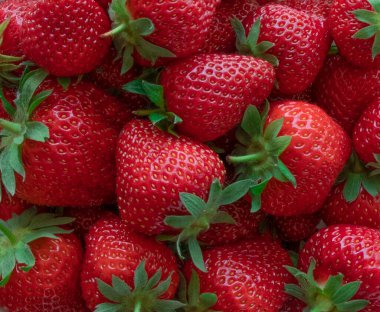 Olgun sulu çilekler kapanıyor. Doğal arka plan. Sağlıklı beslenme.