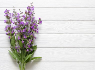 Beyaz ahşap arka planda bilge çiçekler. Bir buket çiçek..