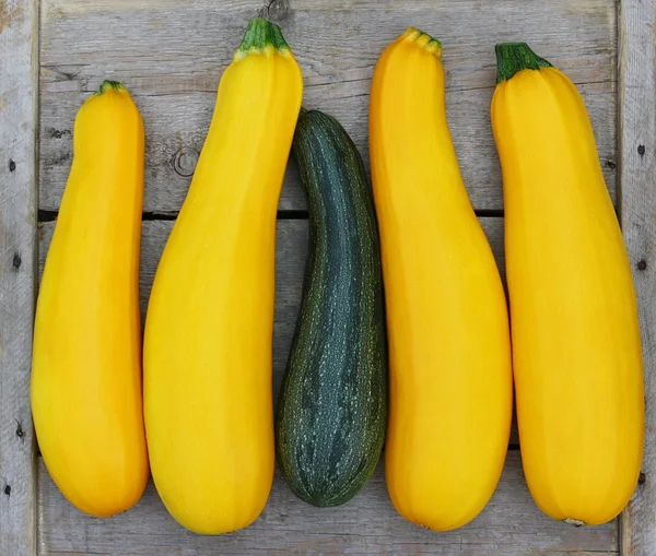Чотири яскраво-жовті кабачки овочеві і одна зелена ст — стокове фото