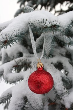 Kırmızı yılbaşı ağacı süsleme ve mavi Noel kürk-ağaç