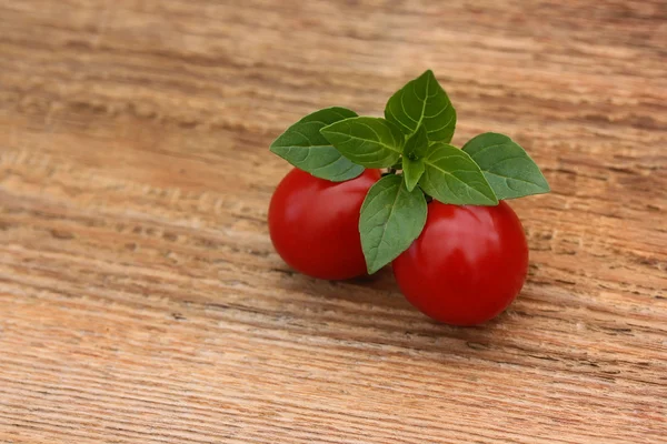 Two red ripe tomatoes and the branch of the basil on the wooden — Stock Photo, Image