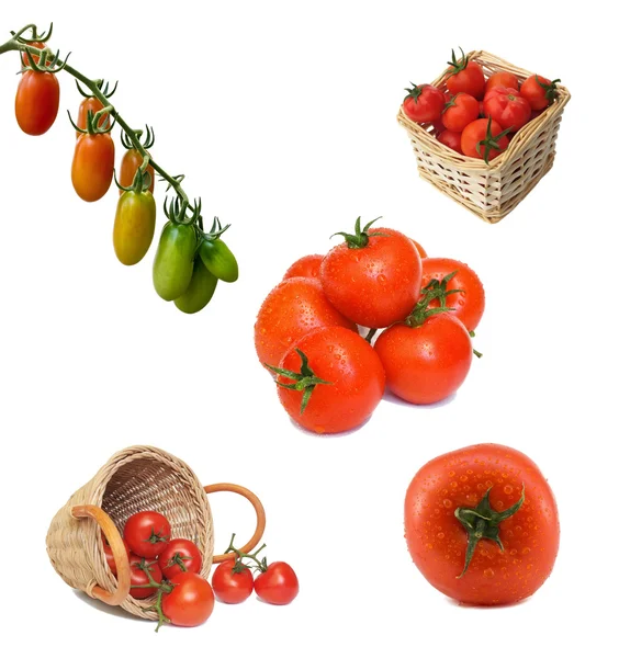 Set tomato isolated on white background — Stock Photo, Image