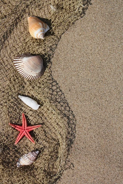 Shell and red starfish on fishing net on sand — Stock Photo, Image