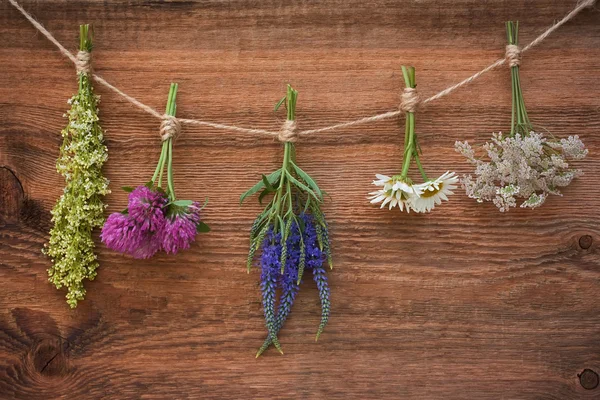 Bouquets of medicinal herbs on an old wooden background — Stock Photo, Image