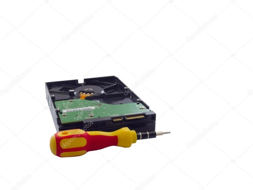 Hard disk and screwdriver isolated