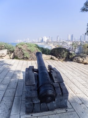 Napolyon'un Cannon