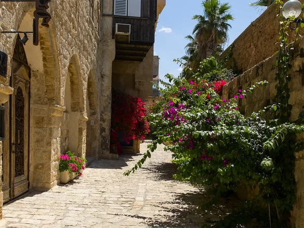 Straat en muur van Jaffa oude stad — Stockfoto