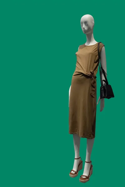 Зображення Повної Довжини Жіночого Дисплея Манекен Елегантній Коричневій Сукні Ізольовано — стокове фото