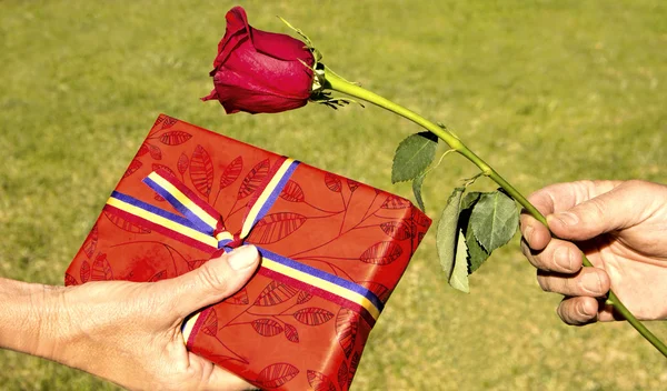 bir gül ve bir kitap verme günü