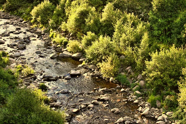 Bahar şafak doğru olarak Nehri uyanıyor
