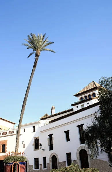 bir İspanyol kasaba Meydanı'nda uzun palmiye ağacı