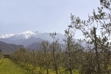 Pyrenean dağ canigou bahar güneş