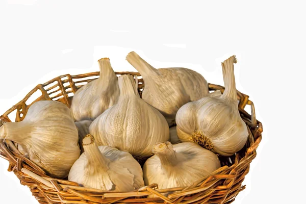 Close up of Whole Garlics in a Cane Basket — Stock Photo, Image