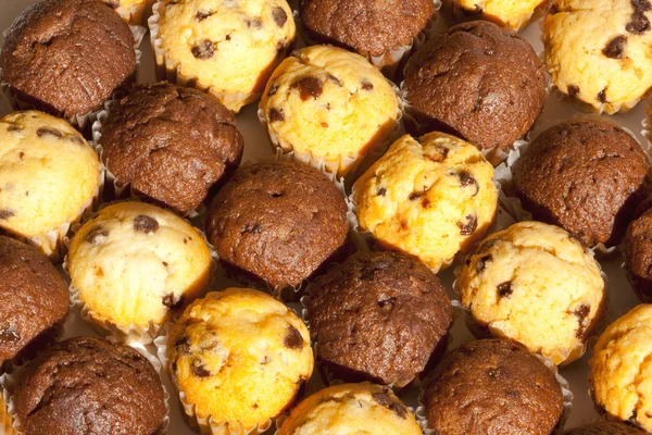 Nahaufnahme Chocolate Chip Muffins in abwechselnden Reihen lizenzfreie Stockfotos