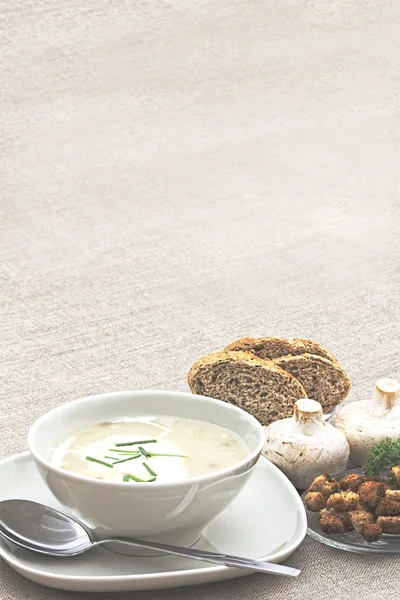 dilim taze kahverengi ekmek ile mantar çorbası