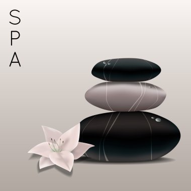 taş ve çiçek spa vektör çizim