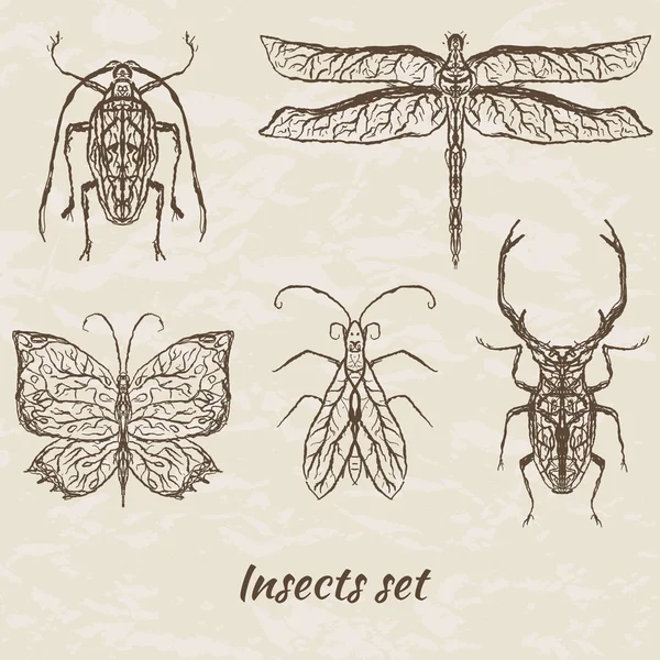 抽象的な昆虫のベクトルを設定 — ストックベクタ