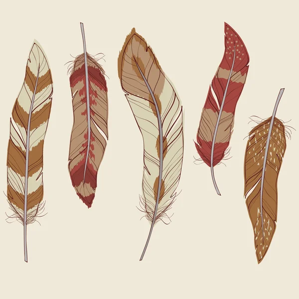 Vector colorful set of different feathers — Stock Vector