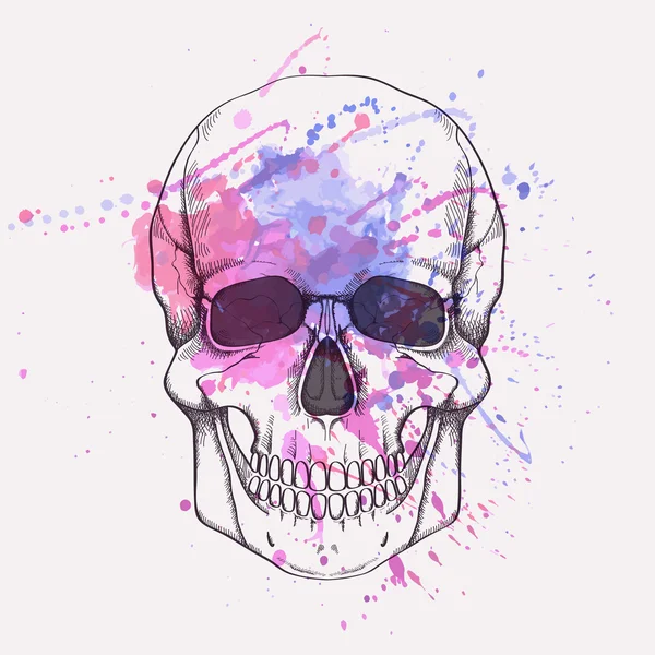 Illustration vectorielle du crâne humain avec éclaboussures d'aquarelle — Image vectorielle