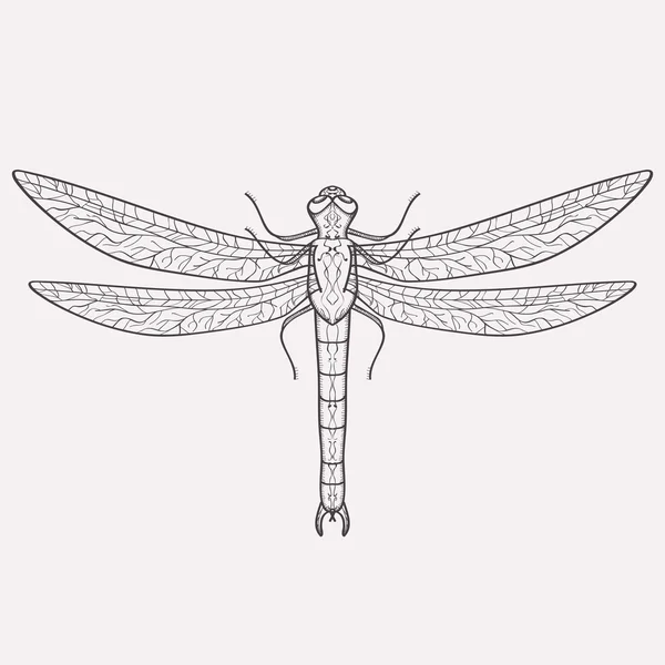 Ilustración vectorial de libélula — Vector de stock
