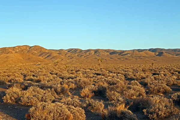 Sivatagi naplementekor — Stock Fotó