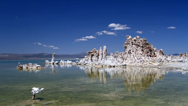 Mono lake panorama — Stock Photo, Image