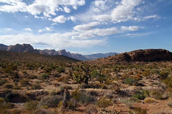 Desierto de Nevada —  Fotos de Stock