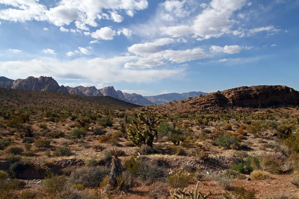 Nevada-ørkenen – stockfoto