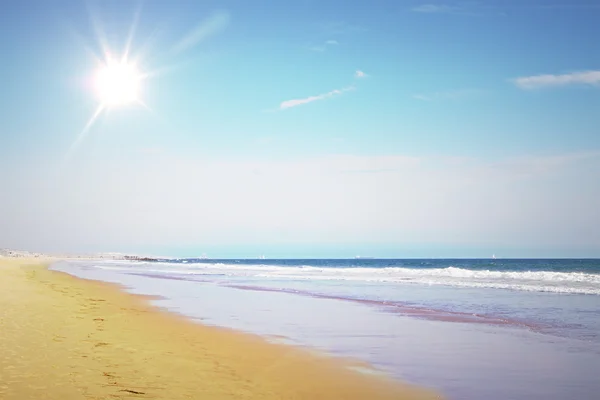 Strand van Venetië — Stockfoto