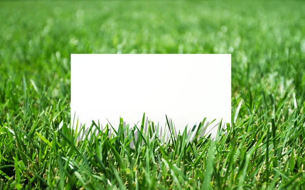 Grass and paper — Stock Photo, Image