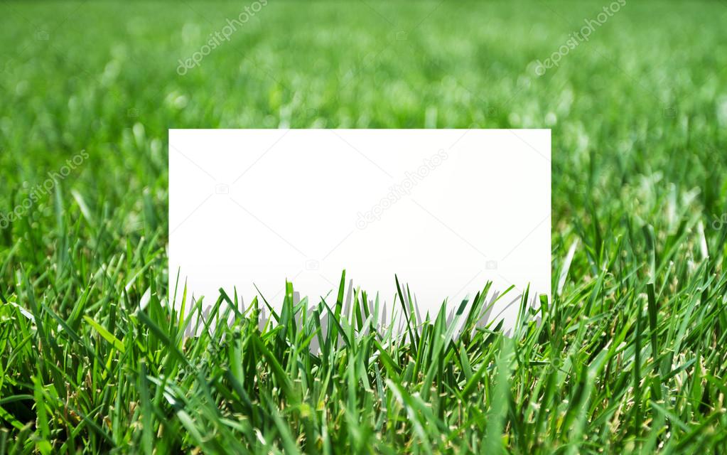 grass and paper