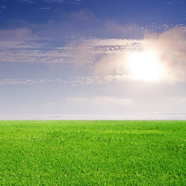 Gräs och blå himmel — Stockfoto