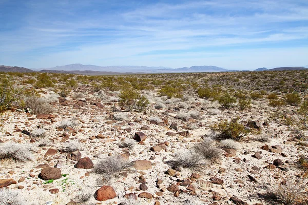 Nevada-ørkenen – stockfoto