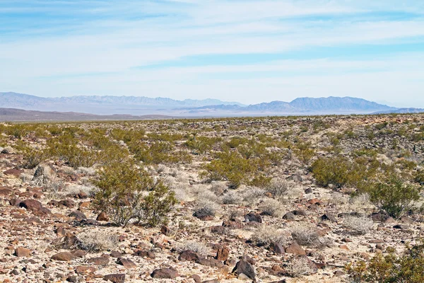 Nevadské poušti — Stock fotografie