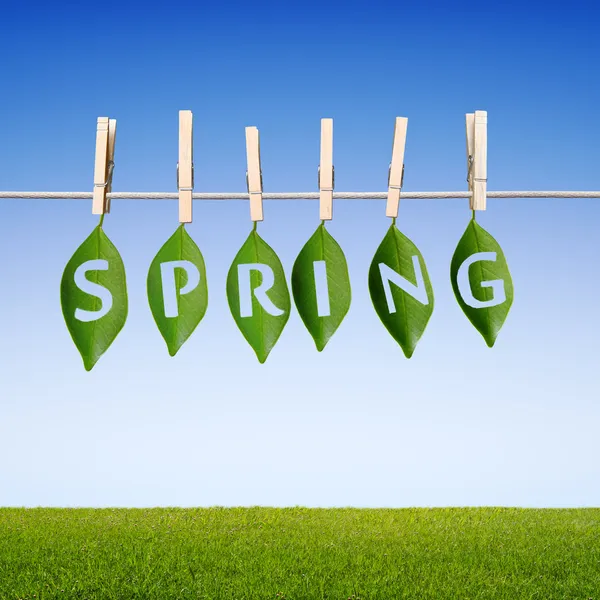 Frühlingskonzept — Stockfoto