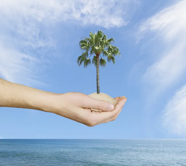 Hand innehav palm — Stockfoto