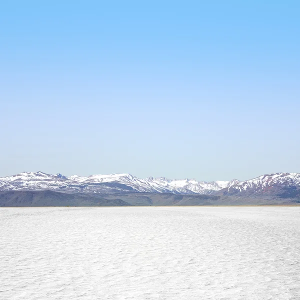 Deserto — Fotografia de Stock