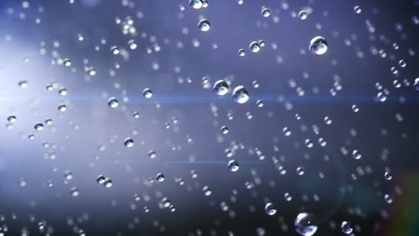 Rain drops frozen — Stock Video