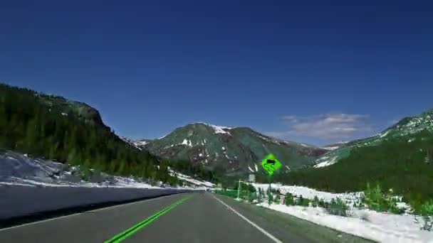 Köra på vägen längs skogen och bergen — Stockvideo