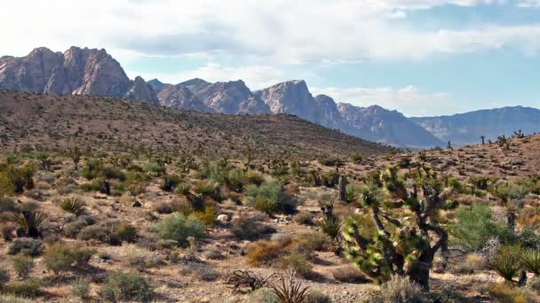 Nevada woestijn — Stockvideo