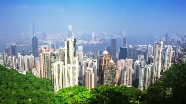 Skyline von Hongkong — Stockvideo