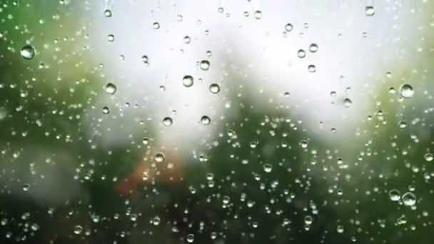 Gotas de lluvia hermosa — Vídeo de stock