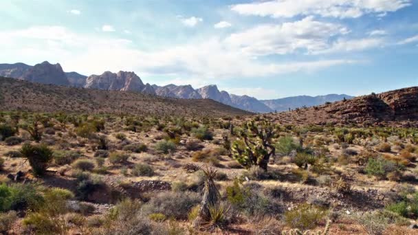 Deserto de Nevada — Vídeo de Stock