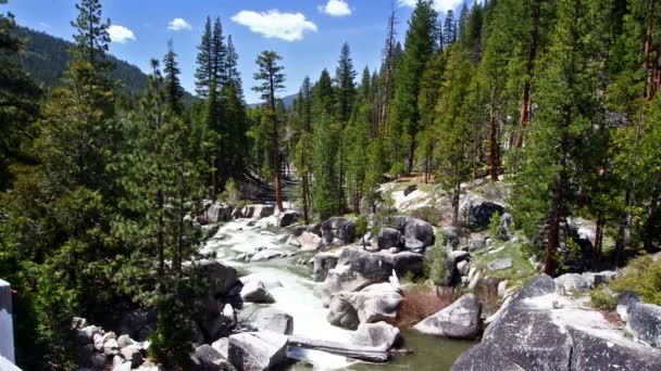 Río de montaña — Vídeo de stock